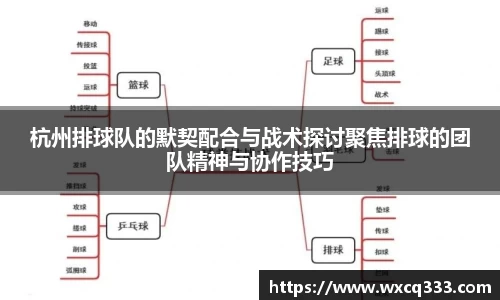 杭州排球队的默契配合与战术探讨聚焦排球的团队精神与协作技巧